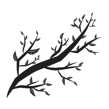 tree branches with lot of leaves silhouette isolated on white ba