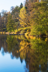 Lake with a jetty by the beach in autumn