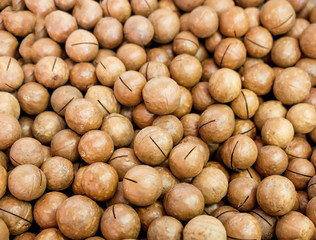 macadamia nuts color brown much close up