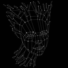 3d vector portrait created with lines mesh. Intelligence allegor