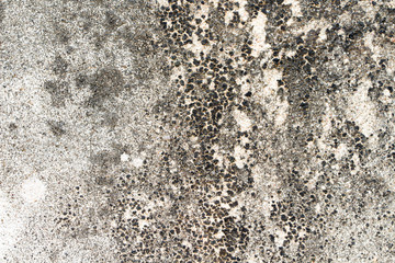 white concrete wall texture