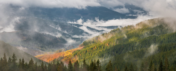 Panorama with Forest and Clouds