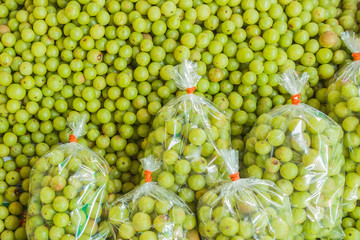 Indian gooseberries selling at Thai local market