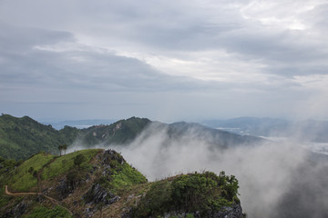Doi Pha Tang ,Morning fog,Chiang Rai.