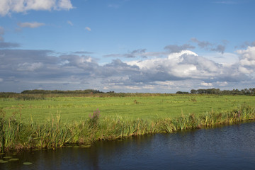 Typical Dutch green landscape with cloudy sky 
