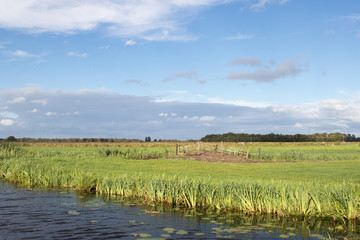 Typical Dutch green landscape with cloudy sky