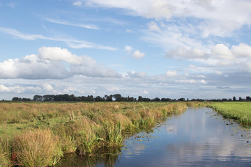 Typical Dutch green landscape with cloudy sky