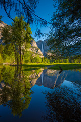 Obraz premium Yosemite Falls Reflection in the Merced River Vertical Compositi