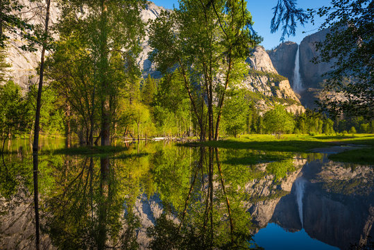 Yosemite Falls Reflection in the Merced River