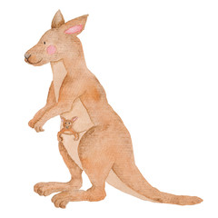 Kangaroo Animals Cute Watercolor Illustration Hand-painted Isolated Australian animal
