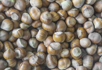 Hazelnuts full frame.