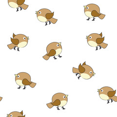 Background of the birds.