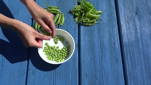 closeup of woman hand depod green peas white dish red wooden table. 4K