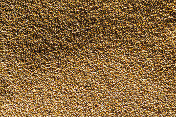 Processed organic wheat grains background.