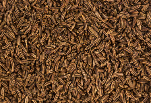 Cumin seeds background or texture