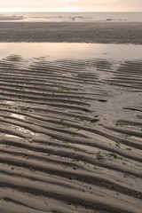 Sand ripples on beach