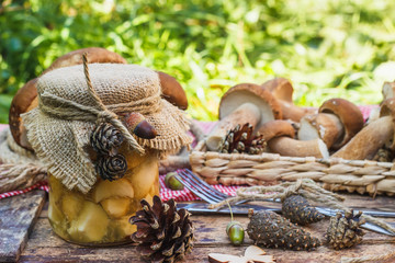 Canned porcini and raw white mushrooms