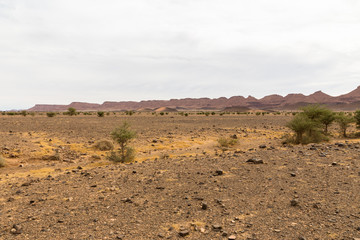 desert landscape Morocco