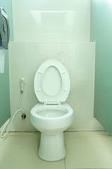 Public toilets with facilities, rinse spray hose  and tissue box