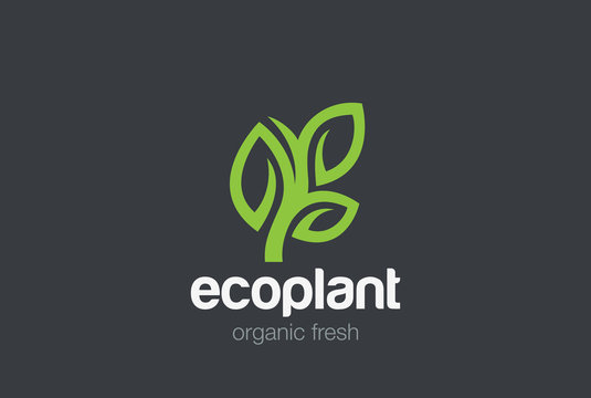 Green Plant Logo vector. Cosmetics Spa Medicine Organic eco icon