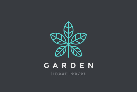 Plant leaves Logo design vector Linear Cosmetics Spa Beauty icon