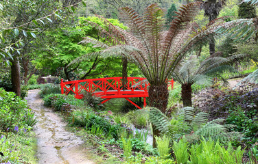 Sub Tropical Garden