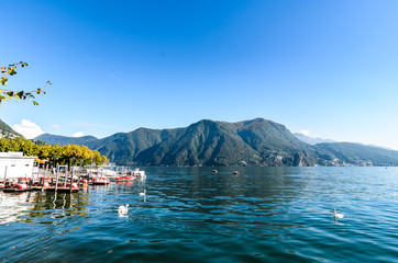 Panoramic landscape view of beautiful serene blue Gulf of Lugano lake with geese on it surrounded by mountains against clear blue sky in Lugano, Canton of Ticino, Switzerland