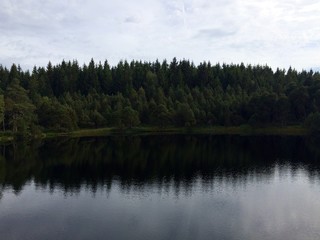 Fototapeta na wymiar See im Schwarzwald