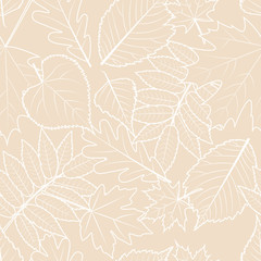 Light beige background with outline hand drawn autumn leaves. Vector fall seamless pattern. Design concept for fabric, textile print, wrapping paper or web backgrounds. - 119773033