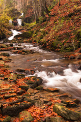 Fototapeta na wymiar Autumn river with leaves