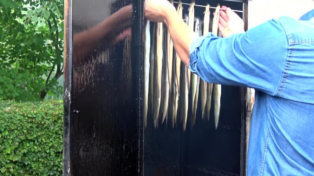 Smoking eel man putting new eels in smoking cabinet eel is elongated fish in some countries smoked eel is considered a delicacy for example in Netherlands Holland Dutch people love gerookte paling 4k