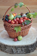 Basket with vegetables and fruits on the stump.