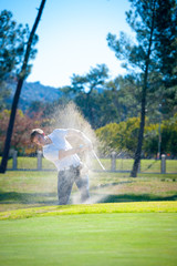 Fototapeta premium golfer playing a chip shot onto the green