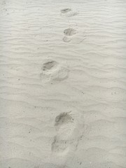 Laufspuren im Sand