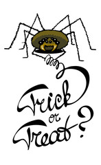 Halloween card with a spider