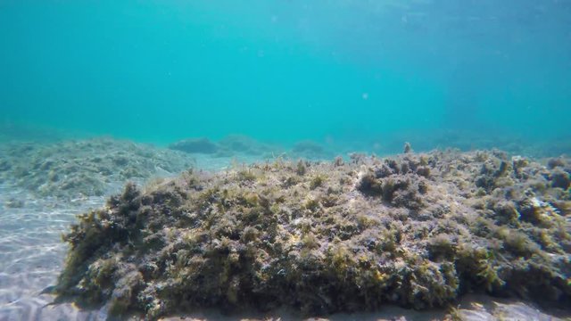 underwater view of a rocky seabed