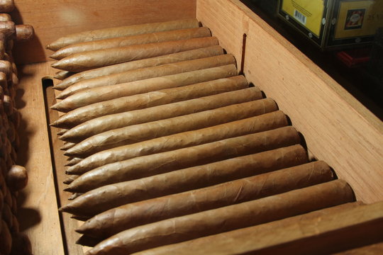 cigars stock