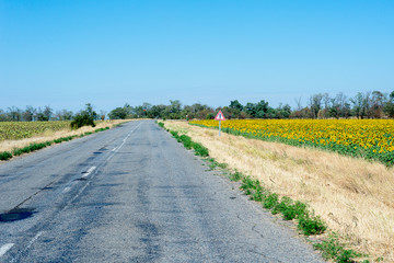 asphalt road through the green field and clouds on blue sky in summer day. Travel through the countryside.