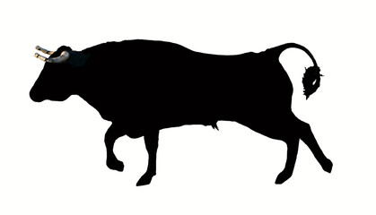 silhueta de touro com cornos