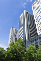 東京　品川　高層ビル街　快晴　青空　緑　見上げる