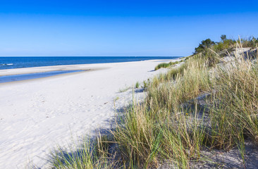 Fototapeta na wymiar Sandy beach on Hel Peninsula, Baltic sea, Poland