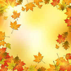 Naklejka na ściany i meble Autumn vector background with colorful leaves