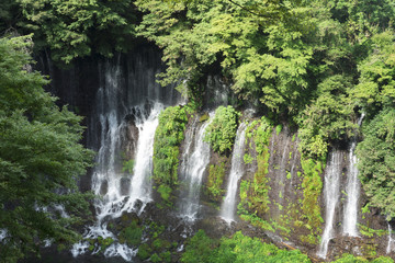 白糸の滝　　世界文化遺産