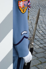 Prague castle guardm Czech Republic