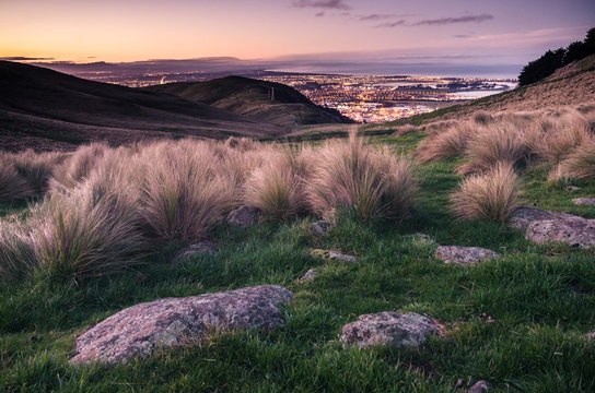 Christchurch, NZ, at sunset