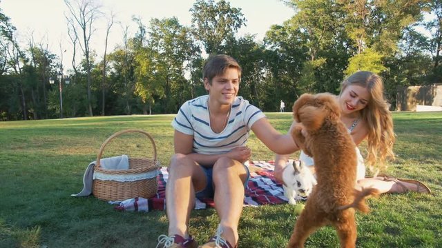 Happy young couple on picnic resting playing with dog and rabbit, slow motion
