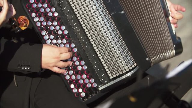 Accordion player Bayan. Busker plays the Accordion close-up