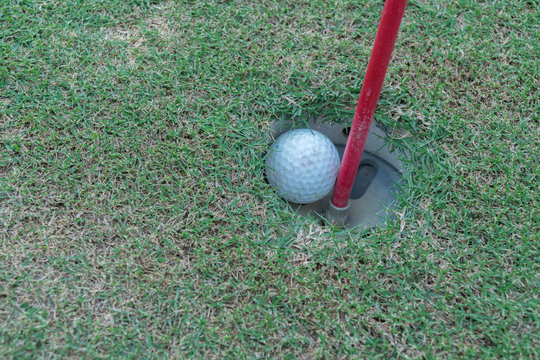 Golf ball in hole on green