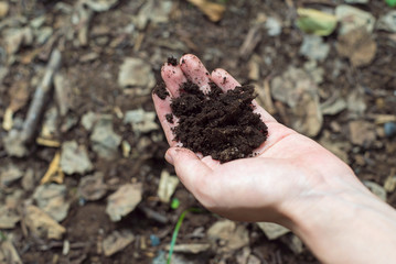 土を持つ女性の手