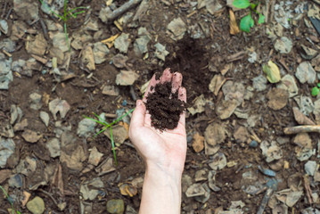 土を持つ女性の手